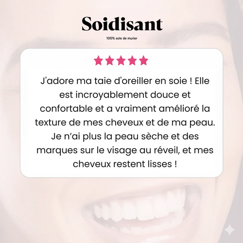 Taie Oreiller 100% Soie